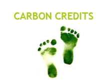 Carbon Credits Give $664 Benefits Per Ton, Imperial Says