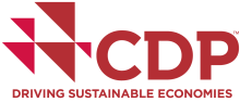 CDP announces new sector-focused investor strategy