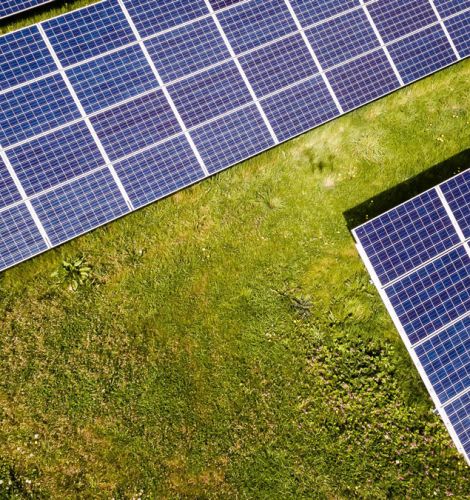 Taking Climate Action label