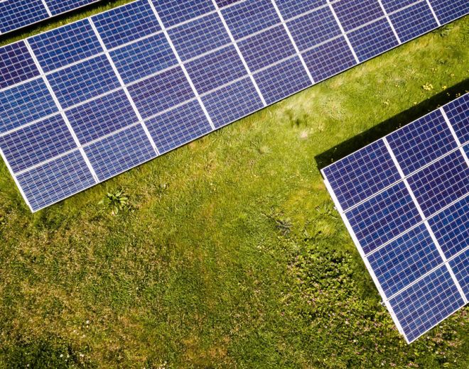 Taking Climate Action label