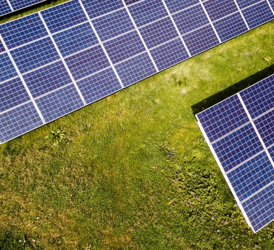 Taking Climate Action label