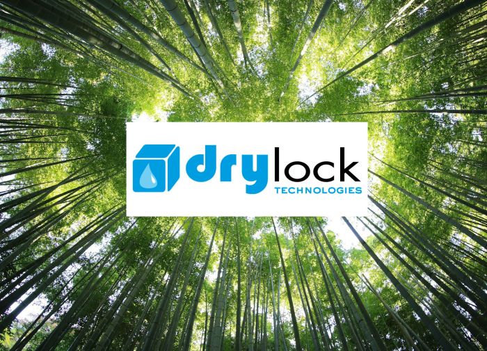 Drylock - leader in sustainable hygiene product segment