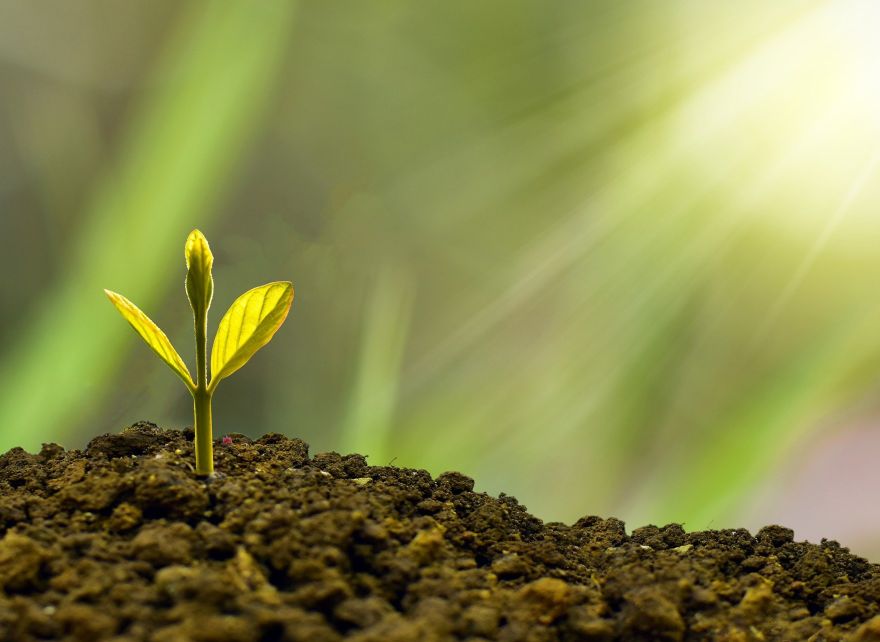 4. Fund Climate action