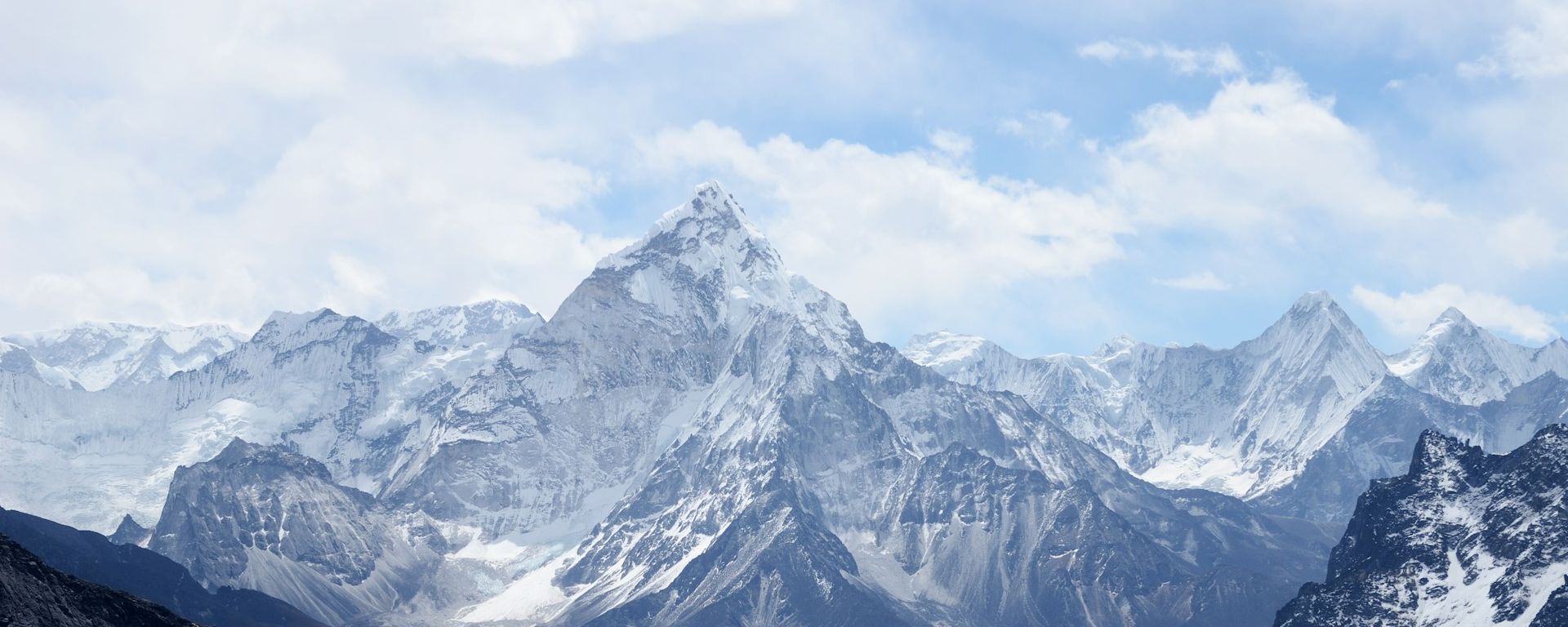 Net Zero and Beyond: A Deep-dive on Climate Leaders and What’s Driving Them